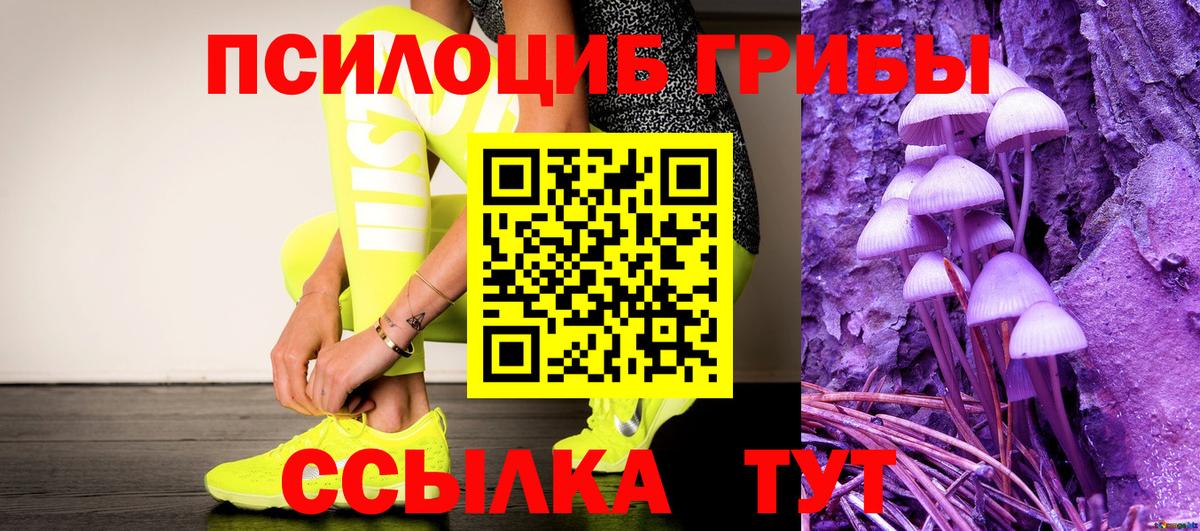 Электросталь  Галлюциногенные грибы Psilocybe  хочу наркоту  Вход с VPN 