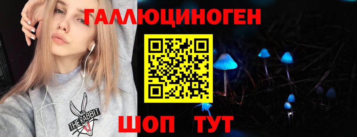 Псилоцибиновые грибы GOLDEN TEACHER Электросталь